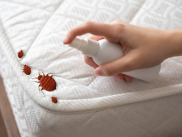 Best Commercial Pest Control Services  in Glenmont, MD