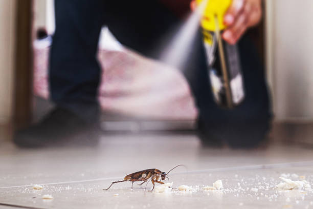 Best Pest Control Near Me in Glenmont, MD