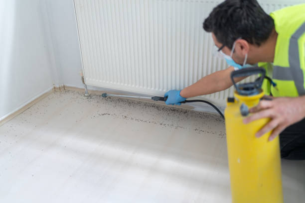 Best Exterminator Services  in Glenmont, MD